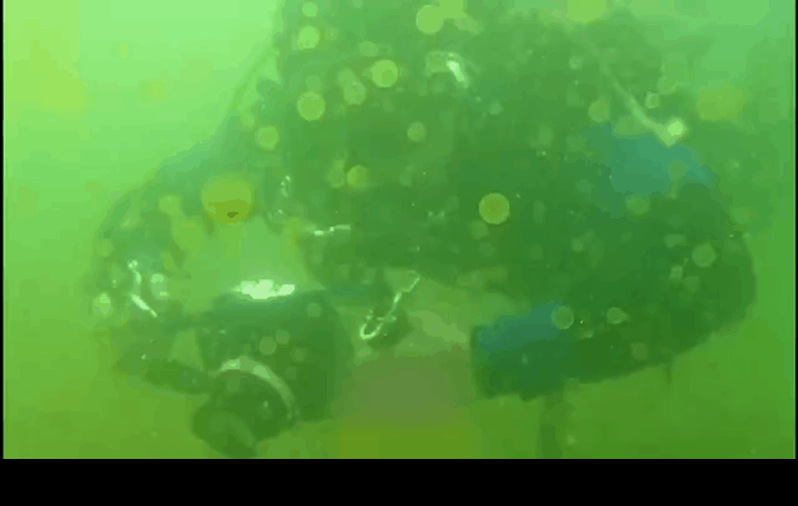 深圳大鹏湾南澳海域球形棕囊藻赤潮凶猛来袭，赤潮中心全力追击